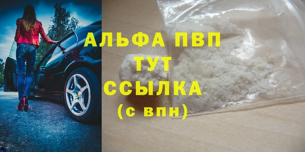 гидра Аркадак