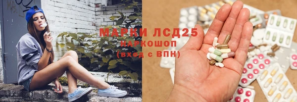 гидра Аркадак