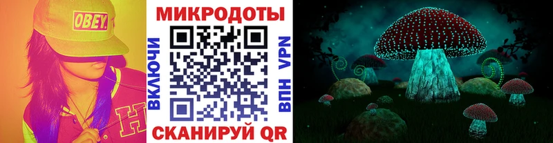 Псилоцибиновые грибы Psilocybe Верхний Уфалей
